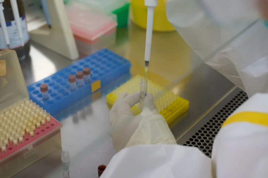 核酸檢測又降價！多地增設(shè)24小時檢測服務(wù)機(jī)構(gòu)